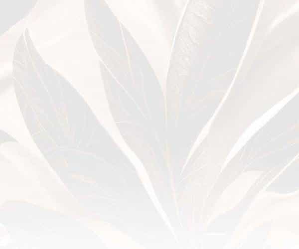 True Medical Aesthetics